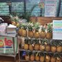 Photo of Honolulu Pineapple