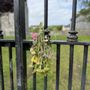 Photo of Sligo Abbey