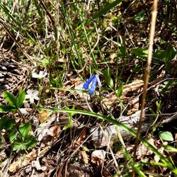 Blue Creek Bay Trail System
