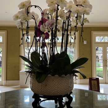 The Langham Huntington, Pasadena - Hotels Near Me - Pasadena, California