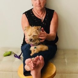 Paw Peace Animal Body Therapy - Shiatsu