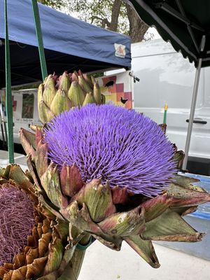 Santa Barbara Farmers Market // Saturday by null