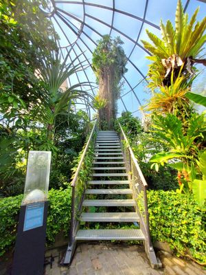 Botanical Garden by null