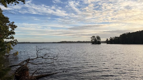 Dreher Island State Park by null
