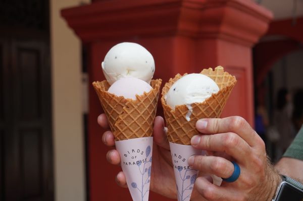 Birds of Paradise Gelato Boutique – Katong (East Coast) by null