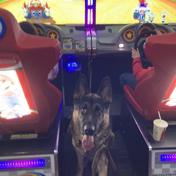 Leda Lanes - Service Dog - Bowling Near Me - Nashua, New Hampshire