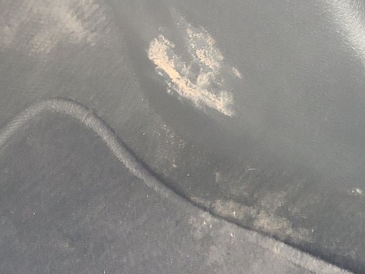 Fabulous Freddy’s by null