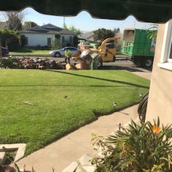 Discount Tree Care Arborist - Wood Chipper - Tree Services Near Me - Long Beach, California