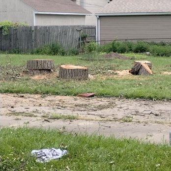 Anderson Home And Yard Repairs - a tree stump in the yard - Tree Services Near Me