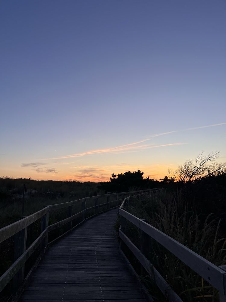 Fire Island National Seashore Logo