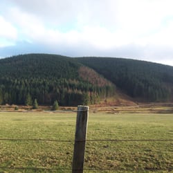 Kielder Water & Forest Park
