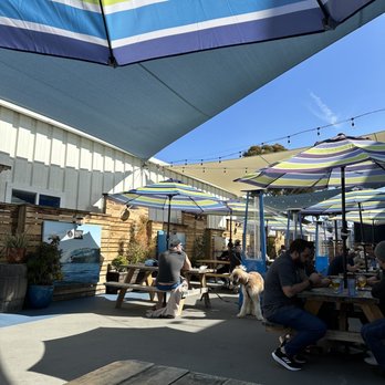 Coronado Brewing - Back patio - super dog friendly - Brewpubs Near Me - San Diego, California