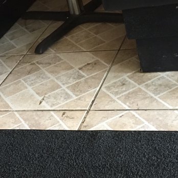 Queen Of Sheba - There is no reason this cannot be mopped up. The whole floor looked like this to me. - Middle Eastern Near Me - Memphis, Tennessee Queen Of Sheba - There is no reason this cannot be mopped up. The whole floor looked like this to me. - Middle Eastern Near Me - Memphis, Tennessee