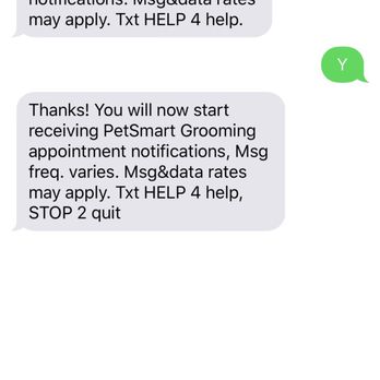 PetSmart - This is all I got in terms of "notifications" No reminder the day prior, nor day of - Pet Stores Near Me - Buena Park, California PetSmart - This is all I got in terms of "notifications" No reminder the day prior, nor day of - Pet Stores Near Me - Buena Park, California