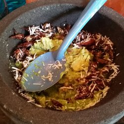 Bicifondita
