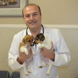 Duarte Azusa Animal Hospital - Dr. Zabihi