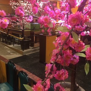 SAIGON'S CORNER Authentic Vietnamese Cuisine - Indoor tree decor - Vietnamese Near Me - Iowa City, Iowa