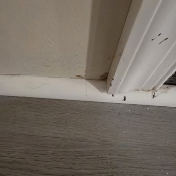 Finnegan Drywall & Home Improvement - General Contractors Near Me