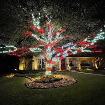 Holiday Light Professionals - Christmas light installation Denver - Holiday Decorating Services Near Me - Denver, Colorado Holiday Light Professionals - Christmas light installation Denver - Holiday Decorating Services Near Me - Denver, Colorado