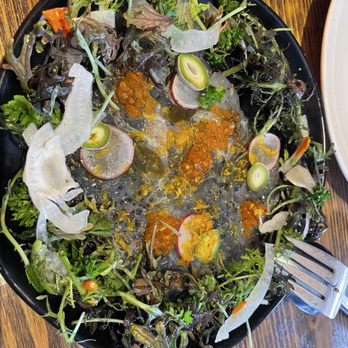 AltoVino - Pesce crudo - Wine Bars Near Me - San Francisco, California AltoVino - Pesce crudo - Wine Bars Near Me - San Francisco, California
