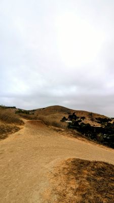 Ascot Hills Park by null