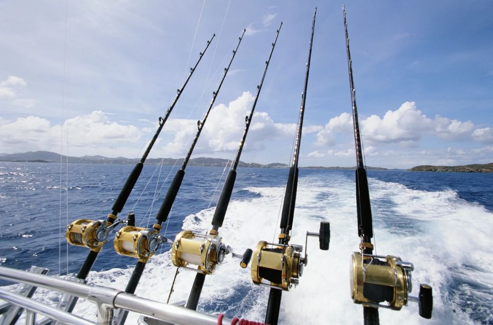 Salty Anchor Charters Logo