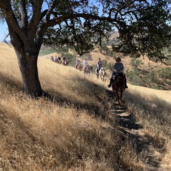 Central Coast Trailrides - Horseback Riding Near Me Central Coast Trailrides - Horseback Riding Near Me