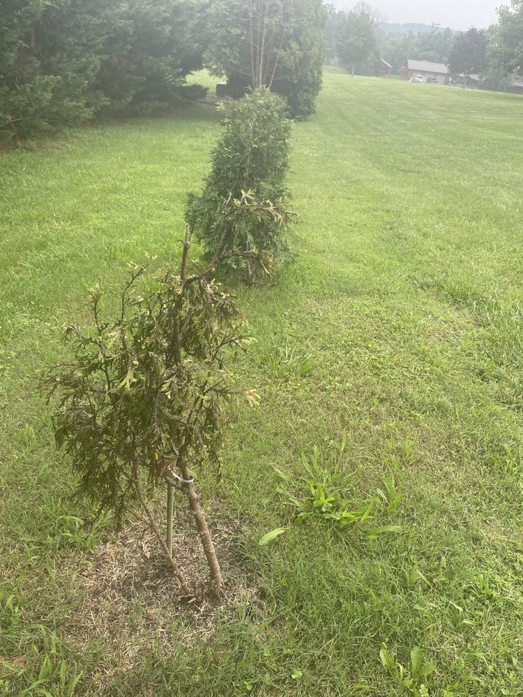 MULCH AND MORE Updated September 2024 310 Douglas Dam Rd, Kodak