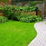 Photo of Doremus Landscape & Sprinkler