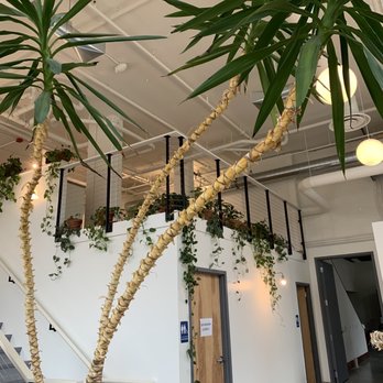 Temple Pastries - Bakeries Near Me - Seattle, Washington
