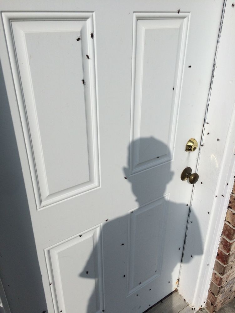 REAL ESTATE MANAGEMENT Updated July 2024 131 E Wisconsin Ave