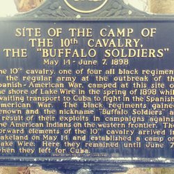 Lake Wire - Buffalo Soldiers, dread locked Rasta (Bob Marley lyric). Interesting history.