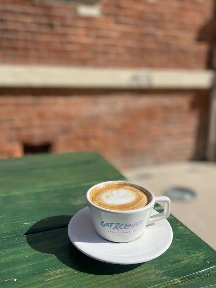 CAT & CLOUD Updated October 2024 226 Photos & 160 Reviews 118