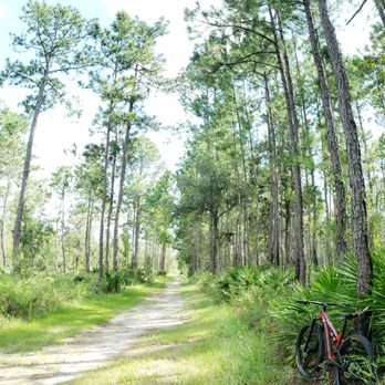 Julington-Durbin Preserve - Start of White Blaze Trail - Hiking Near Me - Jacksonville, Florida Julington-Durbin Preserve - Start of White Blaze Trail - Hiking Near Me - Jacksonville, Florida