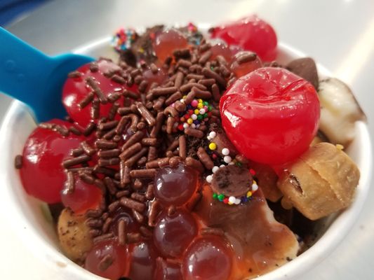 Coastal Frozen Yogurt by null