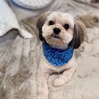 Coleen's Grooming - Pet Groomers Near Me - Norco, California Coleen's Grooming - Pet Groomers Near Me - Norco, California