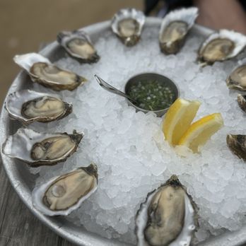 Hog Island Oyster - Seafood Near Me - Marshall, California Hog Island Oyster - Seafood Near Me - Marshall, California