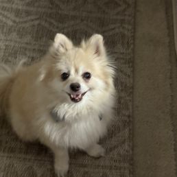 Vanna, she's 16 and loves poki fish! Vanna, she's 16 and loves poki fish!
