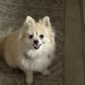 Poke Tiki - Vanna, she's 16 and loves poki fish! - Hawaiian Near Me - Tustin, California Poke Tiki - Vanna, she's 16 and loves poki fish! - Hawaiian Near Me - Tustin, California