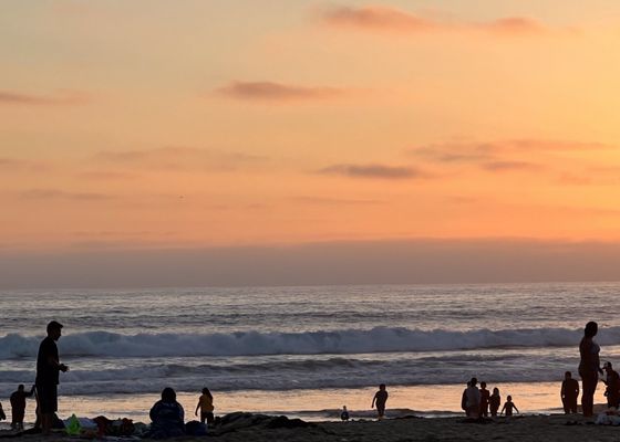 Mission Beach Park by null