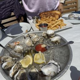 Oysters