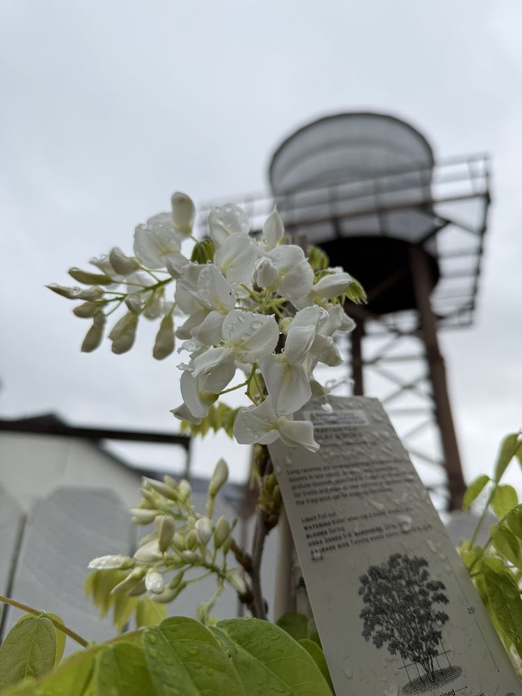 Armstrong Garden Centers gift card