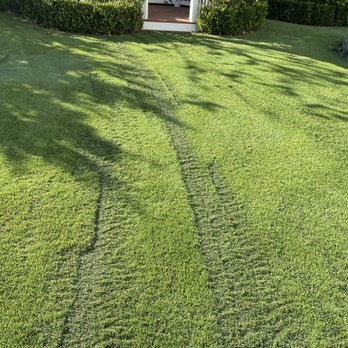 Sunturf - Burned SunTurf - Artificial Turf Near Me - Simi Valley, California