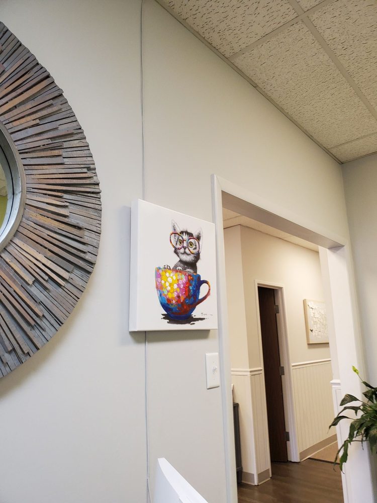 LESSLIE VISION CARE Updated August 2024 46 Photos 1370 Remount Rd