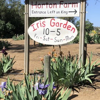 Horton Iris Garden - Attraction Farms Near Me - Loomis, California