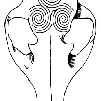 Fox Labyrinth - Piercing Near Me - El Paso, Texas