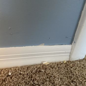 Envision Painting - Painters Near Me - Gilbert, Arizona