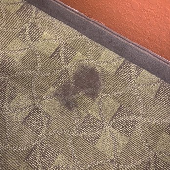 Best Western Dayton - A big blood stain on the floor close to the window. - Hotels Near Me - Dayton, Tennessee