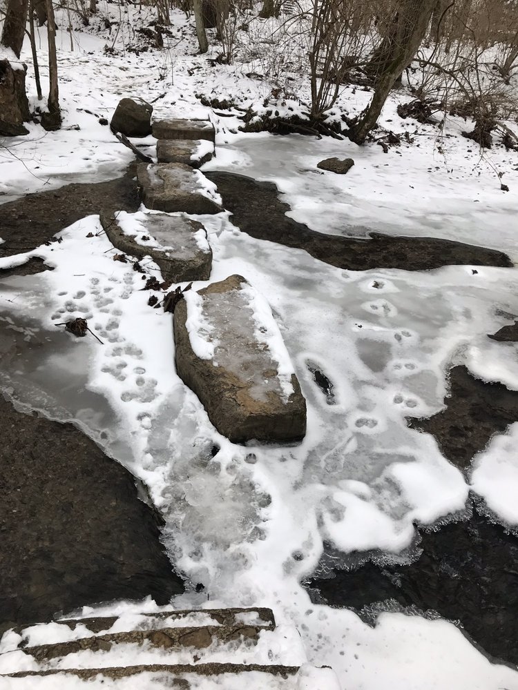 BILL YECK PARK 69 Photos Parks 2230 E Centerville Station Rd