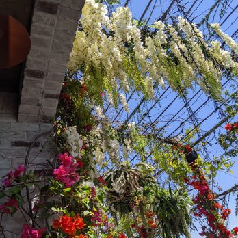 Catch - Sushi Bars Near Me - West Hollywood, California